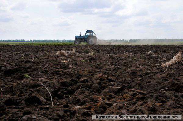 Сельхоз-участки, расположенные в Астраханской области