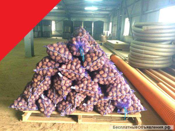 Картофель оптом.Оплата по Факту Доставки.Жмите