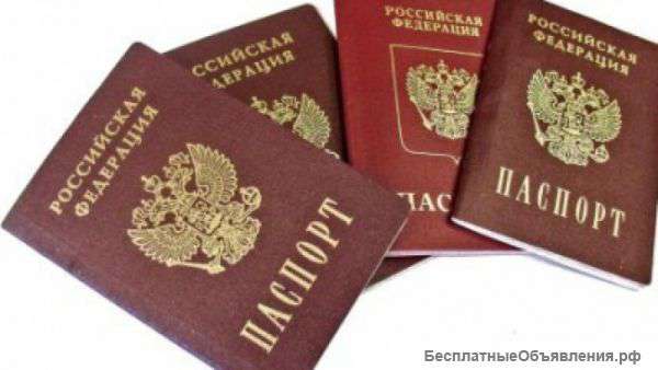 Помощь в оформлении гражданства РФ