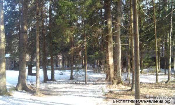 Земельный участок