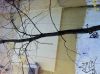 Наружное утепление альпинизм отделка