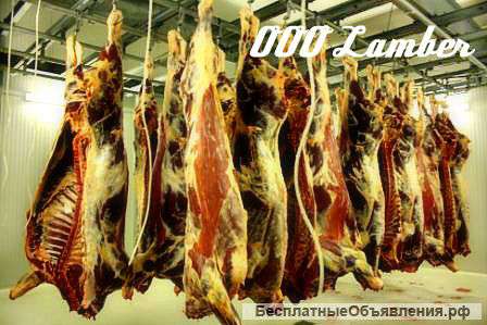 Говядина 1 кат, оптом РБ