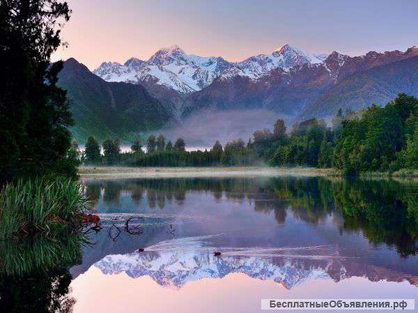 Ст минино д творогово пос солонцы