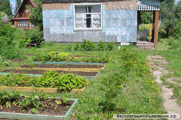 Дачный участок