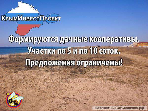 Формируются дачные кооперативы в Крыму