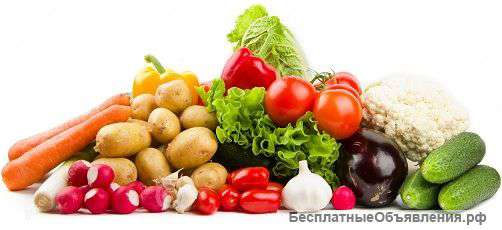 Овощи оптом от производителя