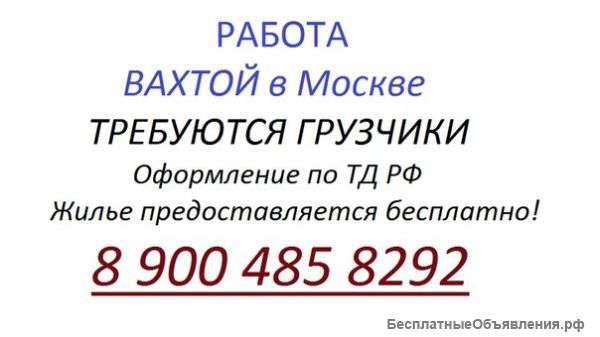 Требуются Грузчики