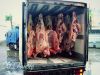 Говядина 1 сорт оптом РБ