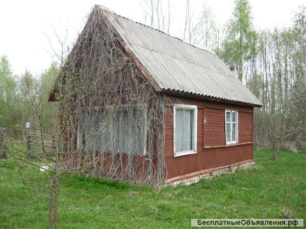 Дача 25 км от Пскова