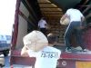 Грузчики на разные объекты