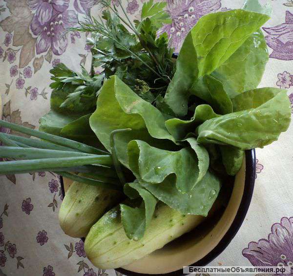 Земельный участок