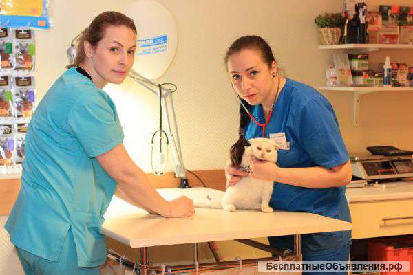 Ветеринарные услуги