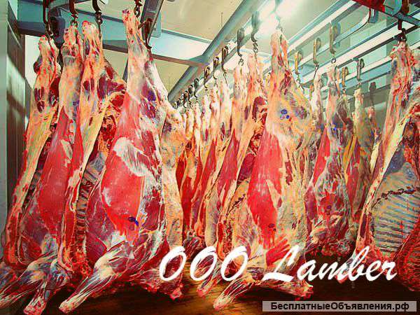 Говядина 1 кат