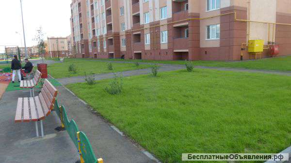 Гидропосев территории