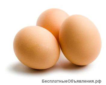 Яйца оптом