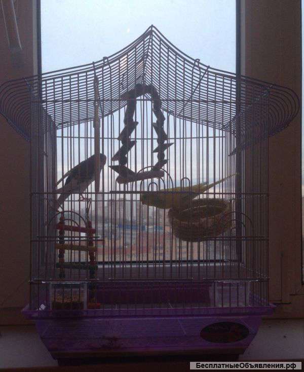 Отдам в хорошие руки