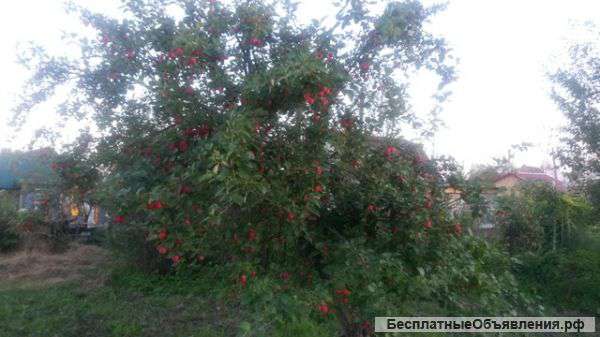 Обменяем на Авто или Продам дачный участок в городе