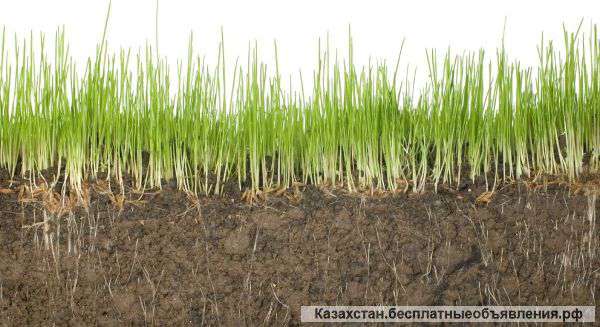 Оборудование производства капсульных органо-минеральных удобрений