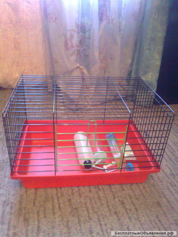 Клетка для свинки