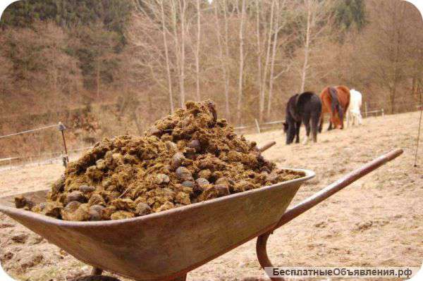 Навоз конский и коровий в мешках по 50 л