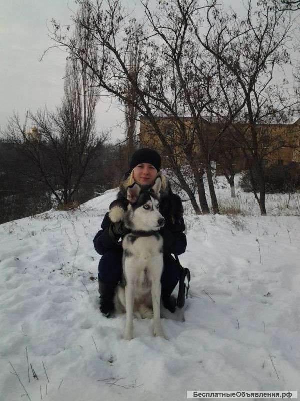 Услуги Домработницы, Уборка Квартир, Домов