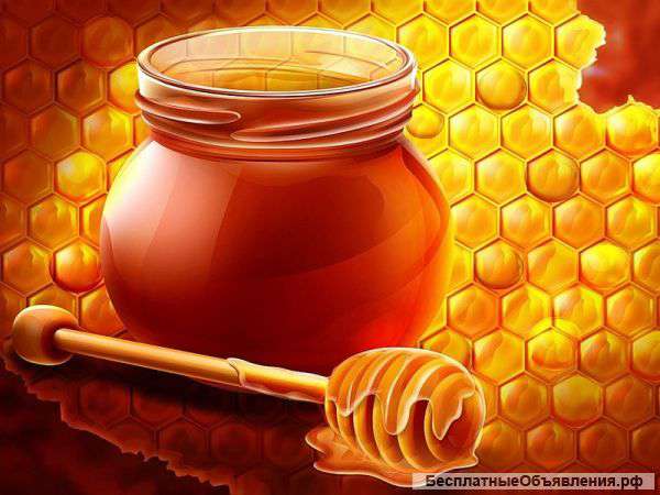 Мёд с пасеки и другое
