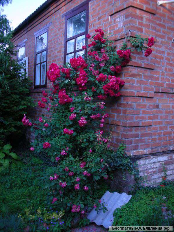 Доли домовладения