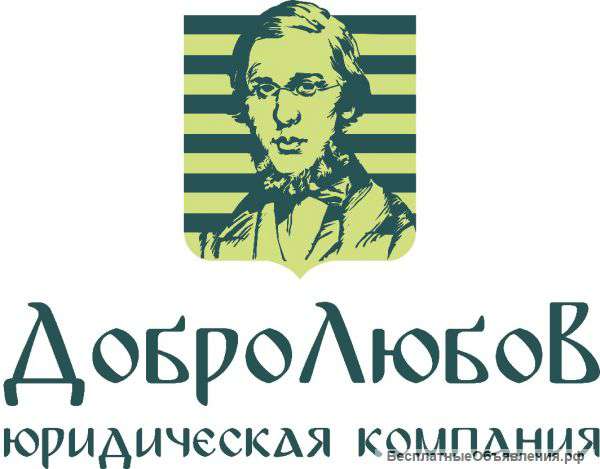 Профессиональная Юридическая помощь