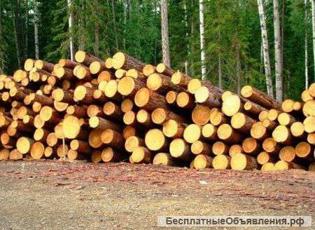 Кругляк лиственницы, кедра со склада