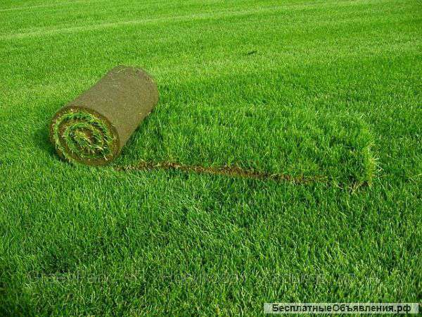 Участок в порядок. Благоустройство участка.