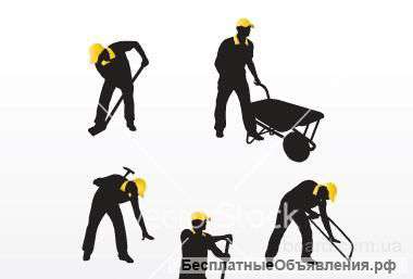 Ищу любую работу, подработку