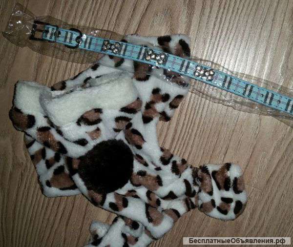 Новая переноска,костюм,ошейник