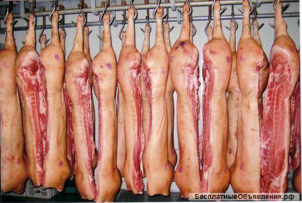 Свинина охлажденная 1 категории в полутушах оптом