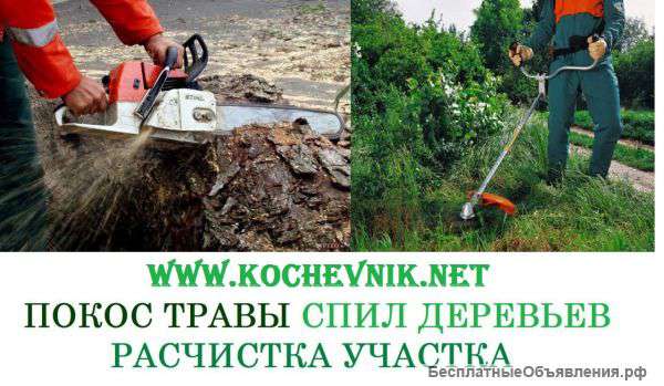 Коммерческое предложение по расчистке участков