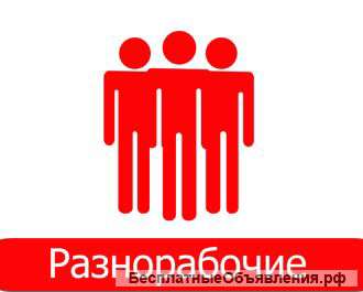 Разнорабочие и грузчики