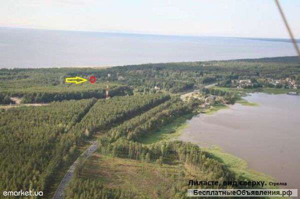 Отдых у моря в Латвии