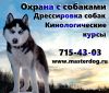 Специалист в кинологический центр, обучение