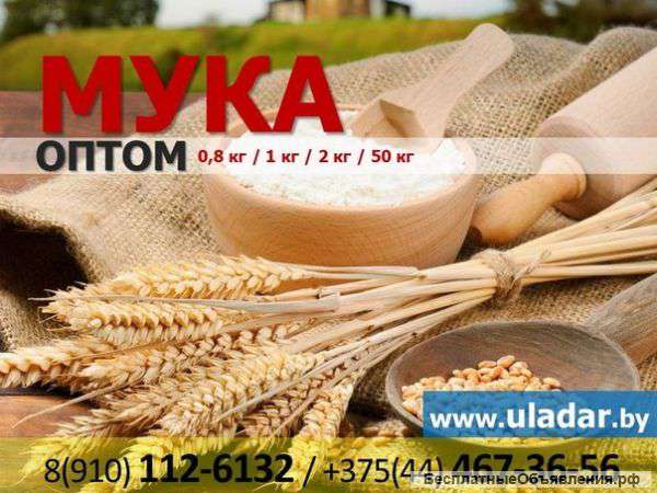 Мука пшеничная оптом купить