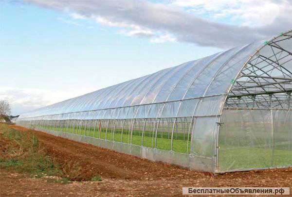 Промышленные профессиональные фермерские теплицы