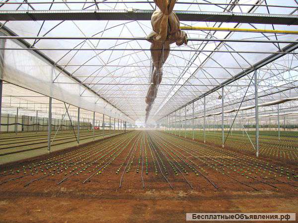 Система орошения для теплиц