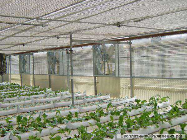 Система орошения для теплиц