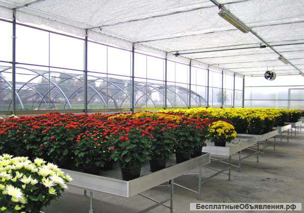 Культивационные (заливные) столы для теплиц