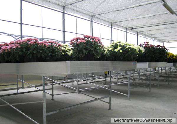 Культивационные (заливные) столы для теплиц