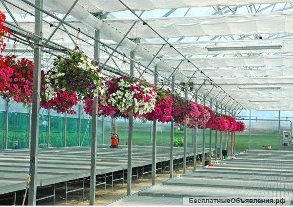 Культивационные (заливные) столы для теплиц