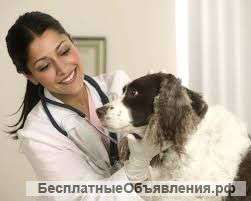 Требуется ветеринар в клинику