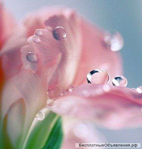 Ваш персональный тренер по женственности