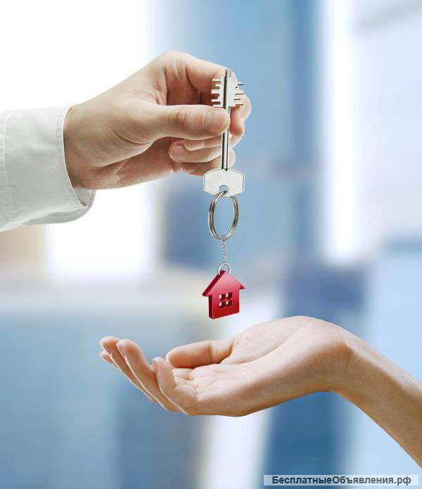 Компания по аренде квартир посуточно