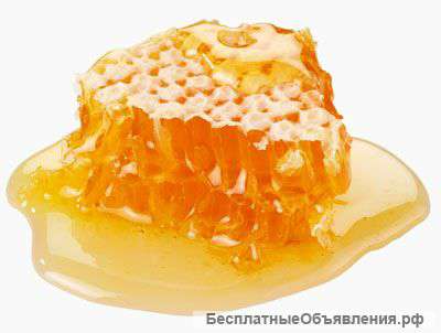 Мед спасики