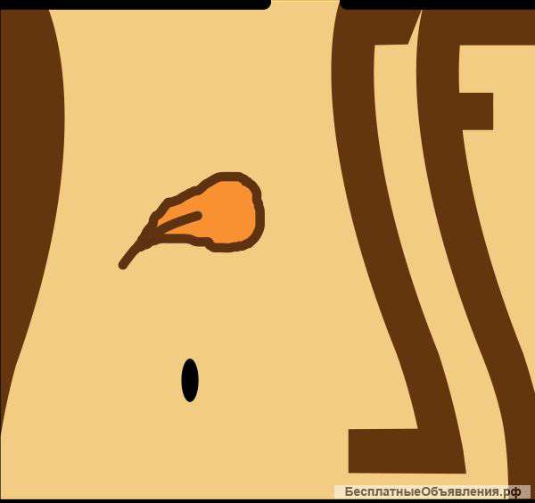 Стройность навсегда