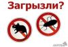 Уничтожение насекомых и грызунов. Продажа химикатов.